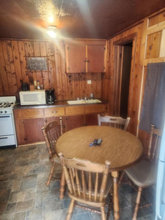 Cabin 2 Manistique Buitenkant foto