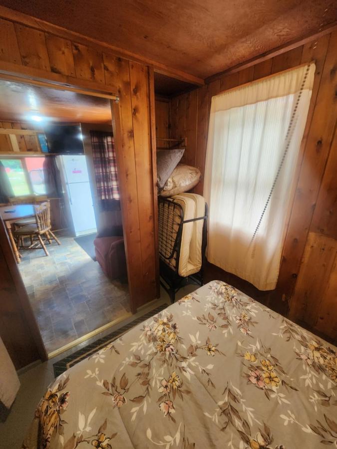 Cabin 2 Manistique Buitenkant foto