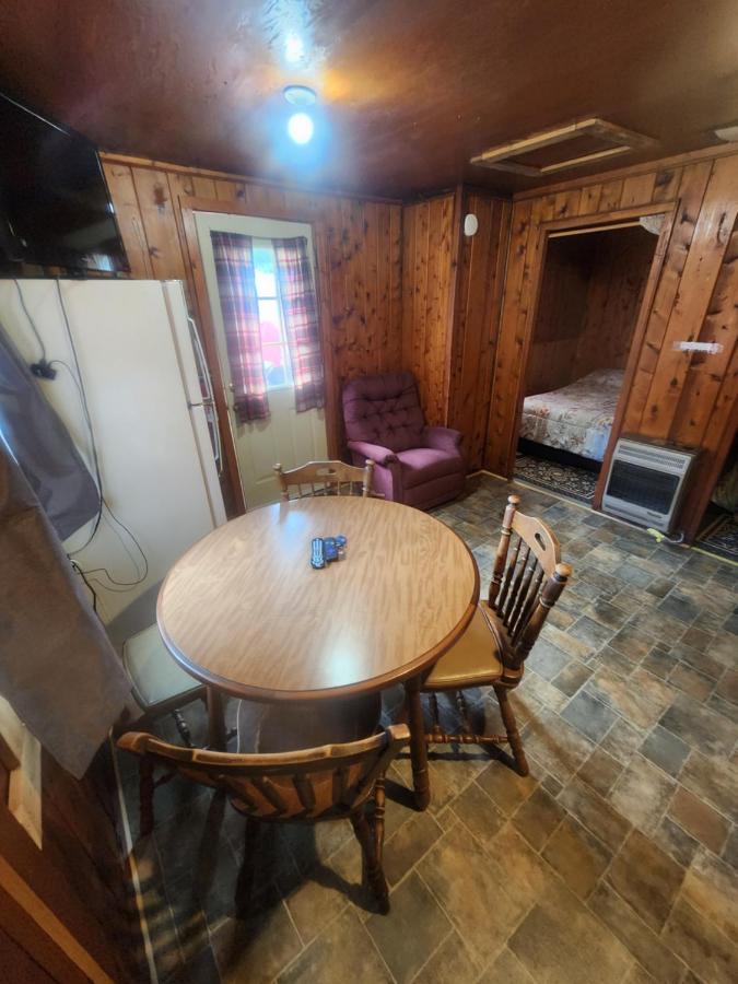 Cabin 2 Manistique Buitenkant foto